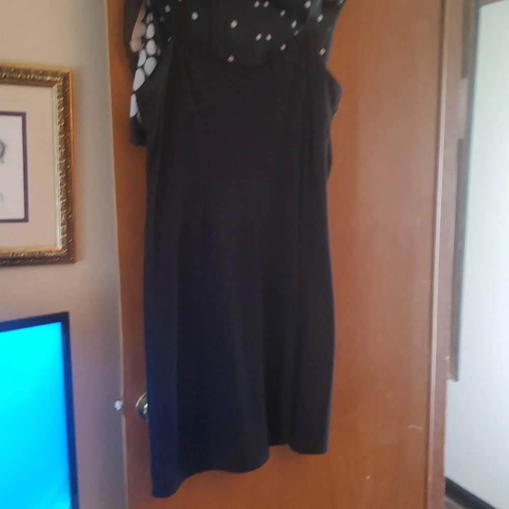 Classic Polka Dot Dress - Picture 10 of 11